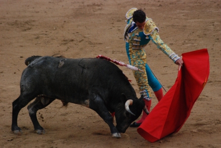 Madrid_Bullfight